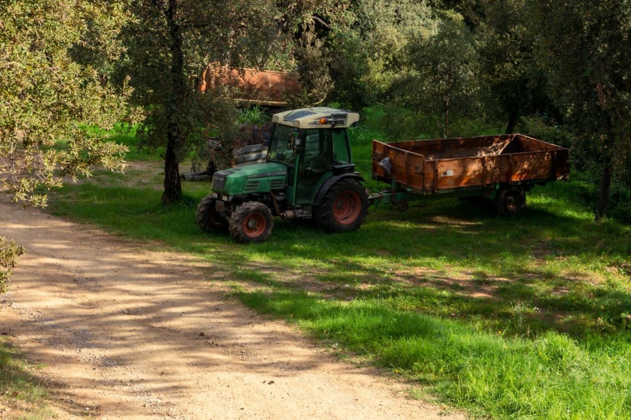 Finca Bell-Lloc Palamos Exterior photo